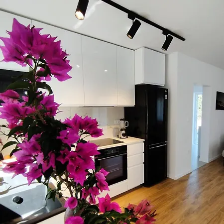 Maslina Оребич