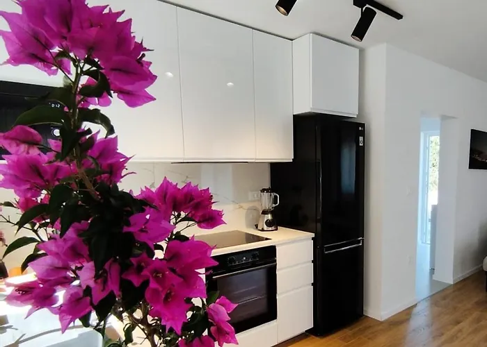 Maslina 奥瑞比克