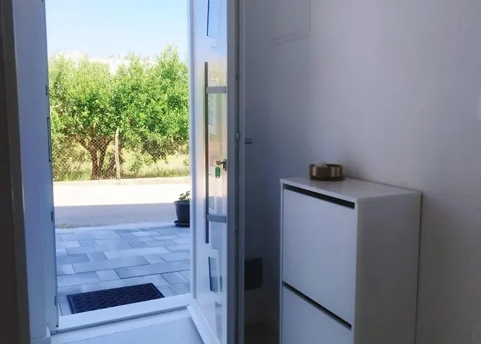 Maslina 奥瑞比克